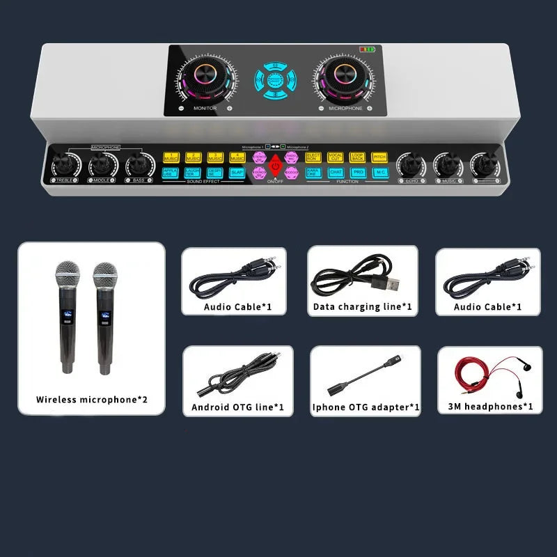 Cordless 10W Bluetooth Karaoke Speaker for Indoor Outdoor Use Y6-2W-E-PA