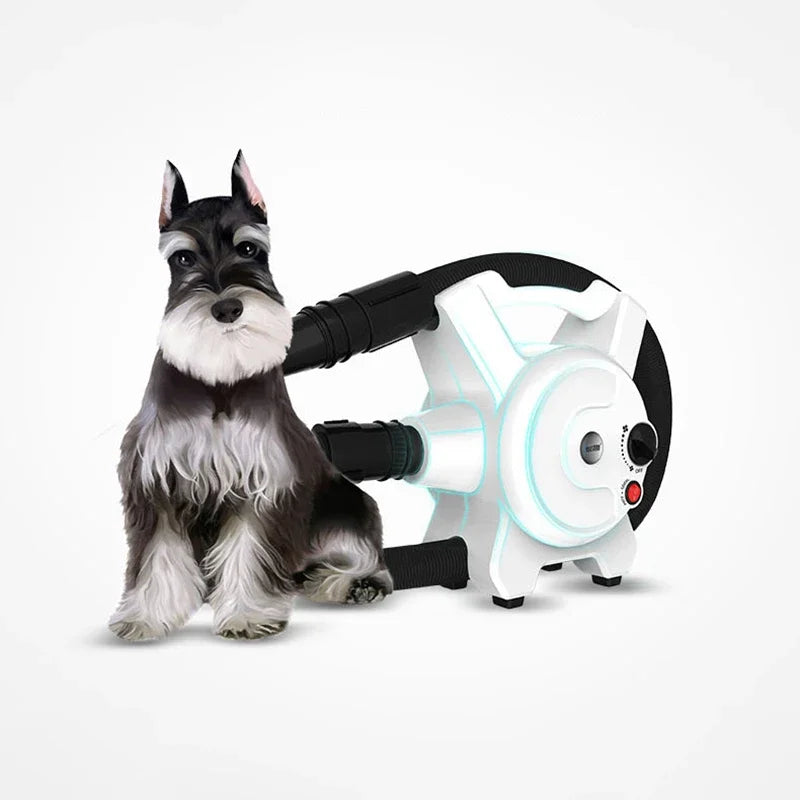 Professional Pet Hair Blower High-Power Grooming Dryer for Cats & Dogs