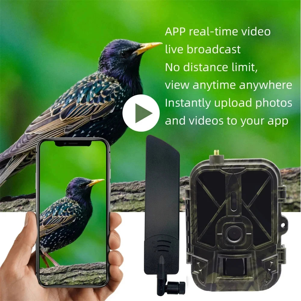 4G Outdoor Trail Camera with 4K UHD Recording, 36MP Images and App Control