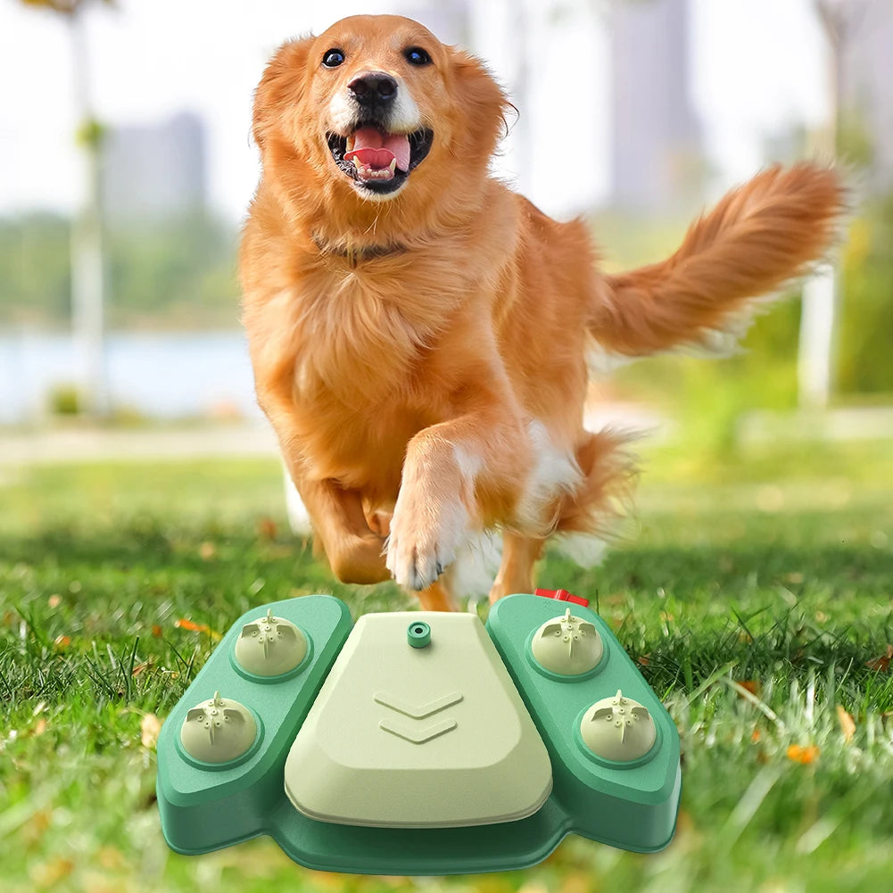 Interactive Dog Sprinkler Fountain, Summer Outdoor Toy
