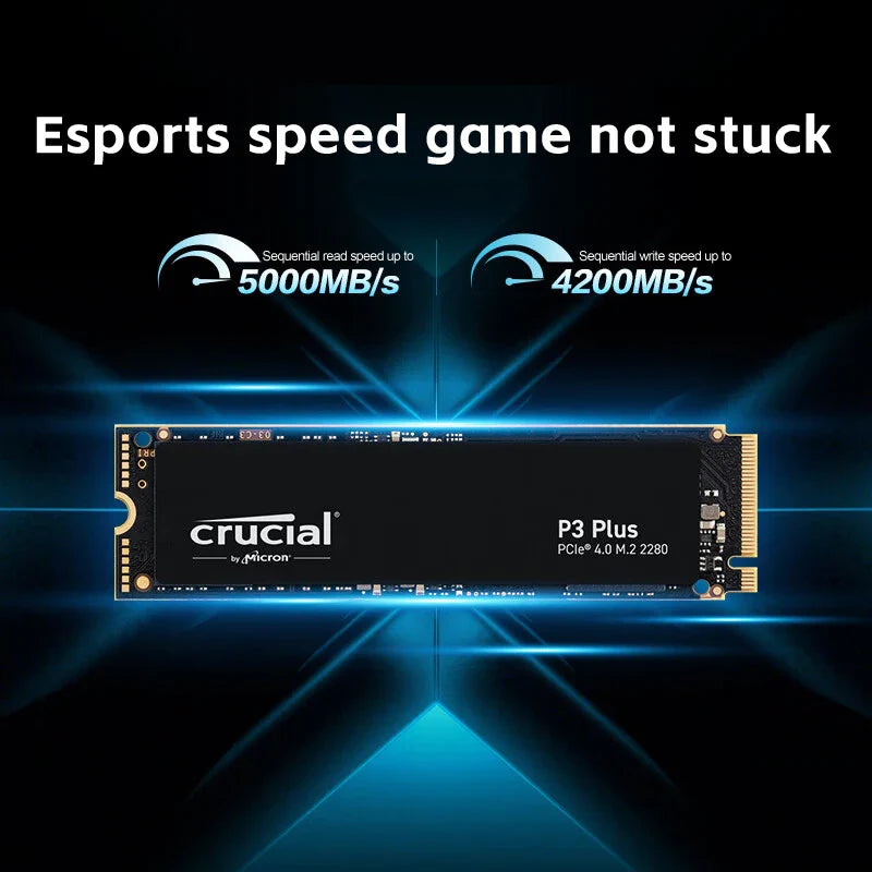 1TB PCIe Gen4 NVMe M.2 SSD P310 Series