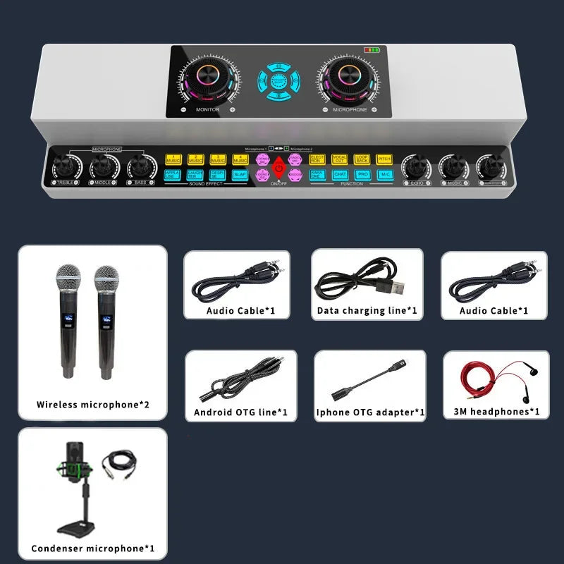 Cordless 10W Bluetooth Karaoke Speaker for Indoor Outdoor Use Y6-2WF