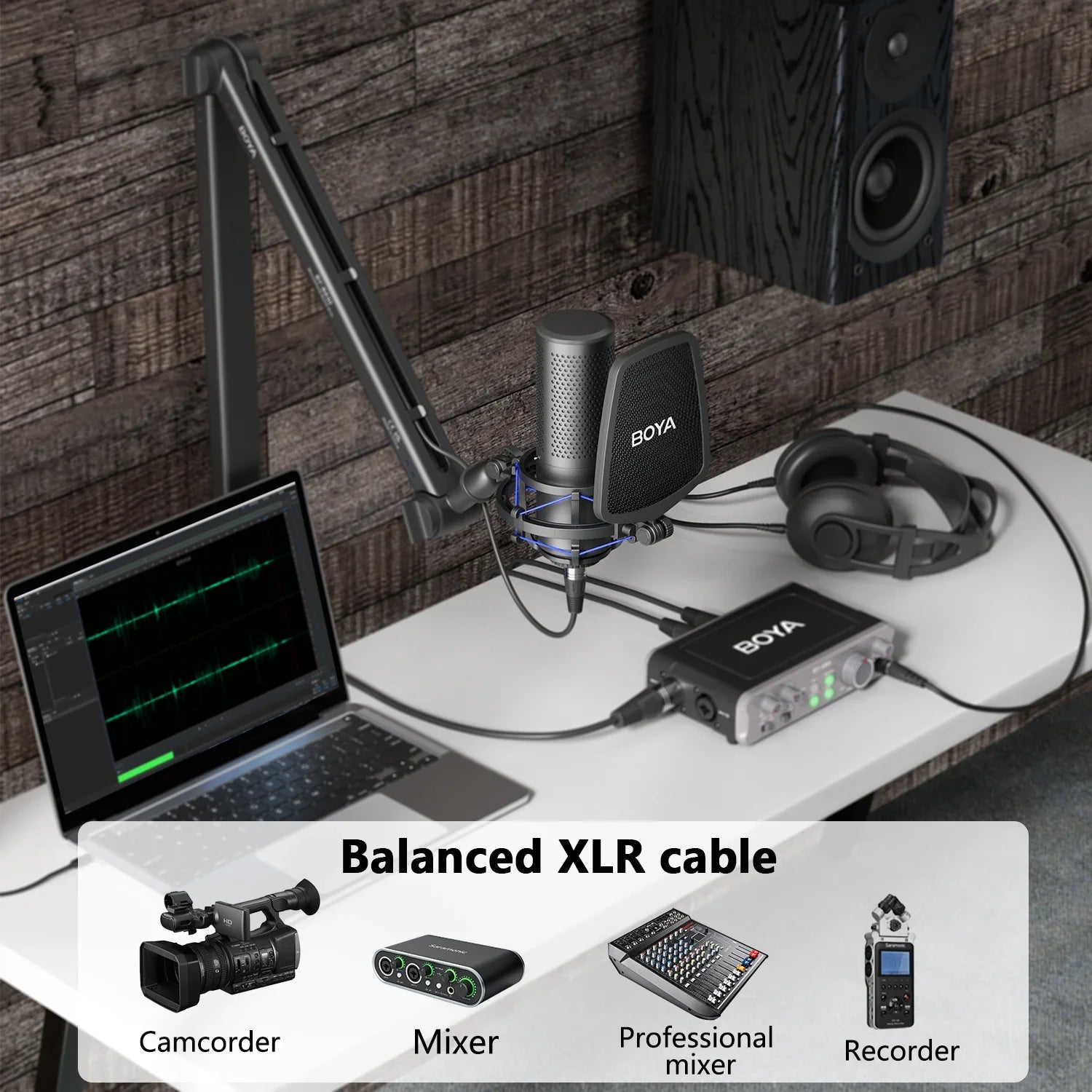 Professional Large Diaphragm Condenser Microphone with Filter