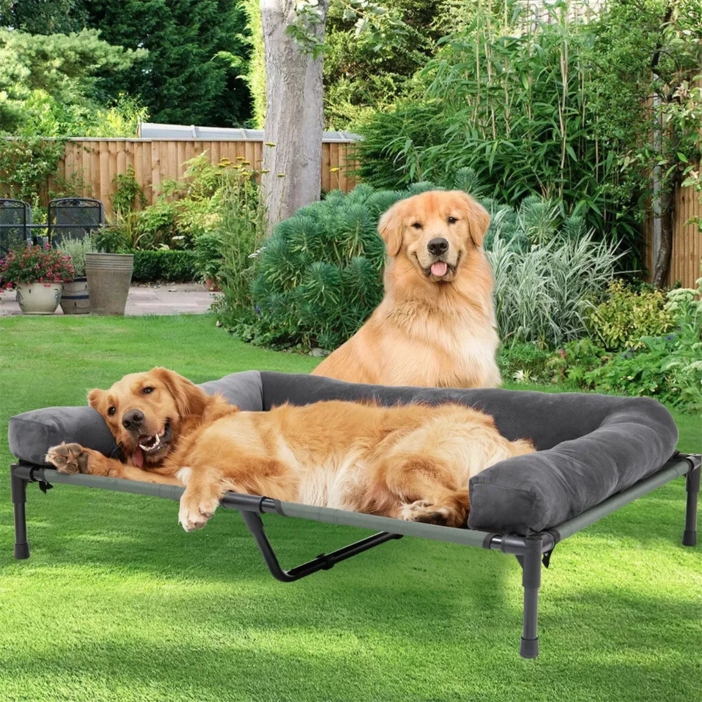 Portable Elevated Dog Cot for Indoor and Outdoor Comfort