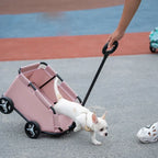 Compact Pet Trolley, Foldable, Easy Travel for Small Pets
