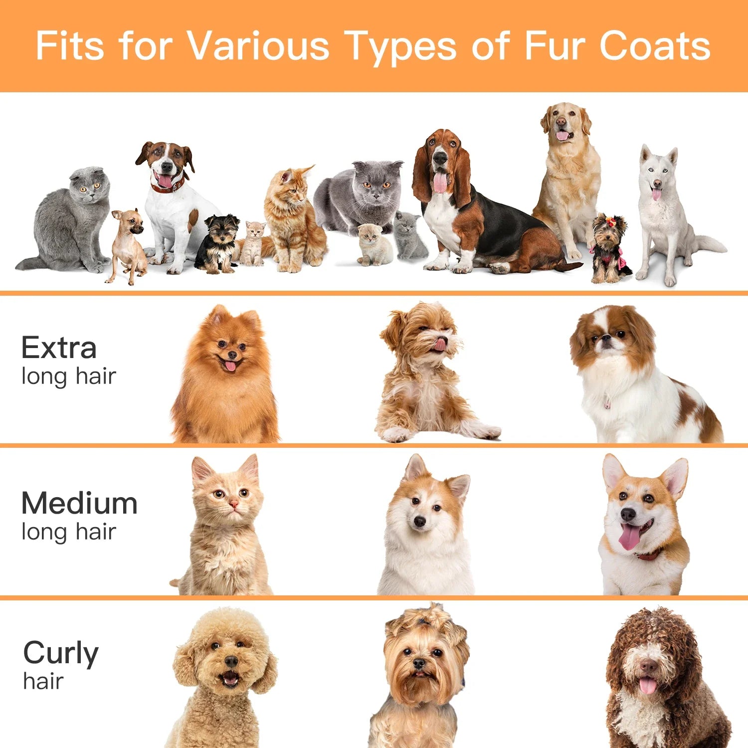 5-in-1 Pet Grooming Vacuum Kit with 12000Pa Suction