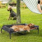 Portable Elevated Dog Cot for Indoor and Outdoor Comfort