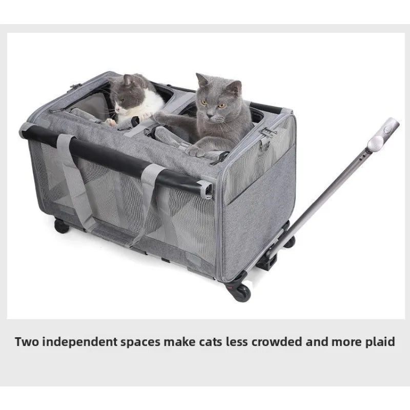 Large Capacity Cat Travel Gray Backpack – 71cm x 38cm x 10cm, Foldable, Portable & Ventilated
