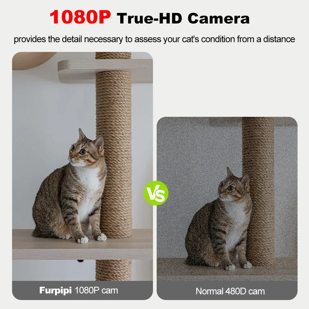 1080P Smart Pet Feeder with Camera and WiFi