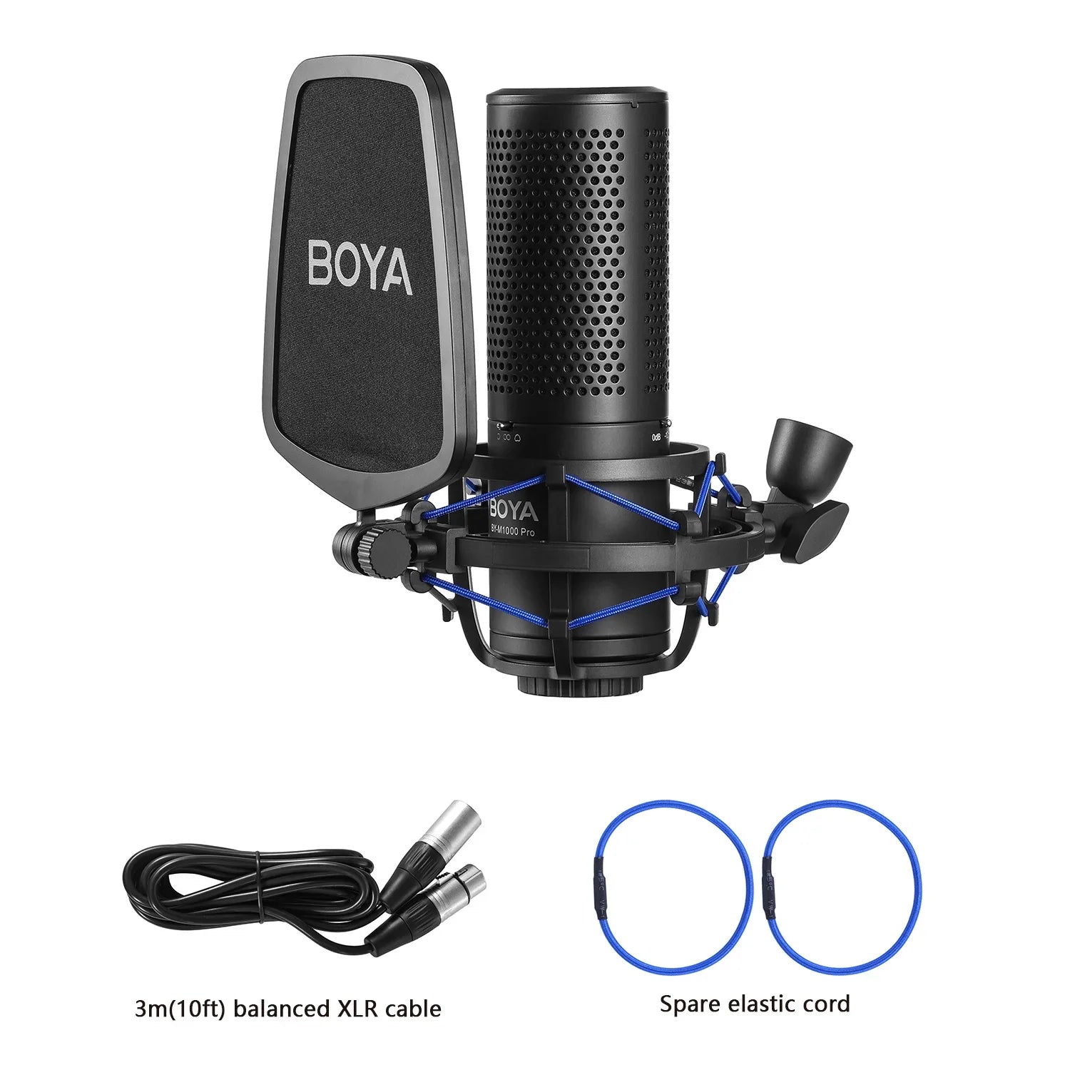 Professional Large Diaphragm Condenser Microphone with Filter