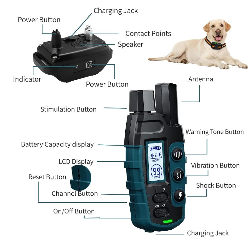 1000M Rechargeable Remote Dog Training Collar Waterproof, Vibration & Static for 2 Dogs Blue