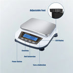 Precision Electronic Scale with Backlit LCD Display