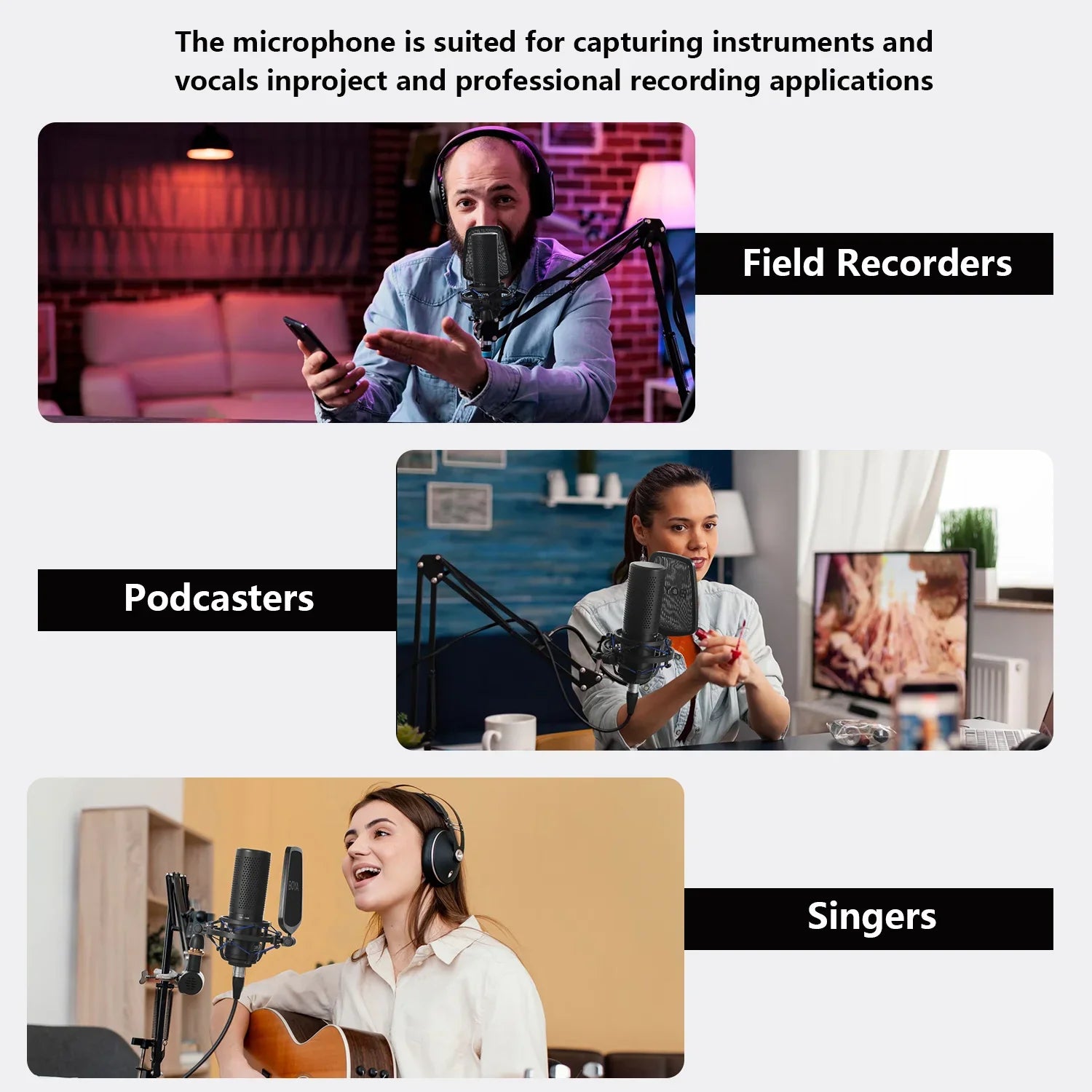 Professional Large Diaphragm Condenser Microphone with Filter