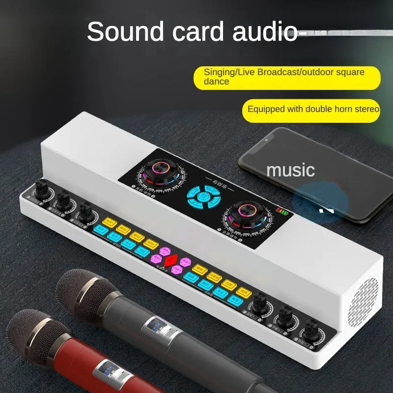 Cordless 10W Bluetooth Karaoke Speaker for Indoor Outdoor Use Y6-2W-E-PA