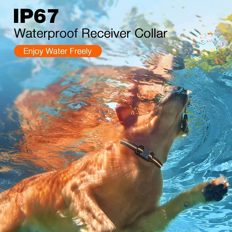 1000M Rechargeable Remote Dog Training Collar Waterproof, Vibration & Static for 2 Dogs Blue