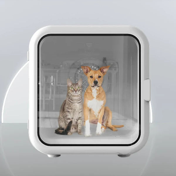 Automatic Pet Grooming Dryer Box for Small Dogs & Cats