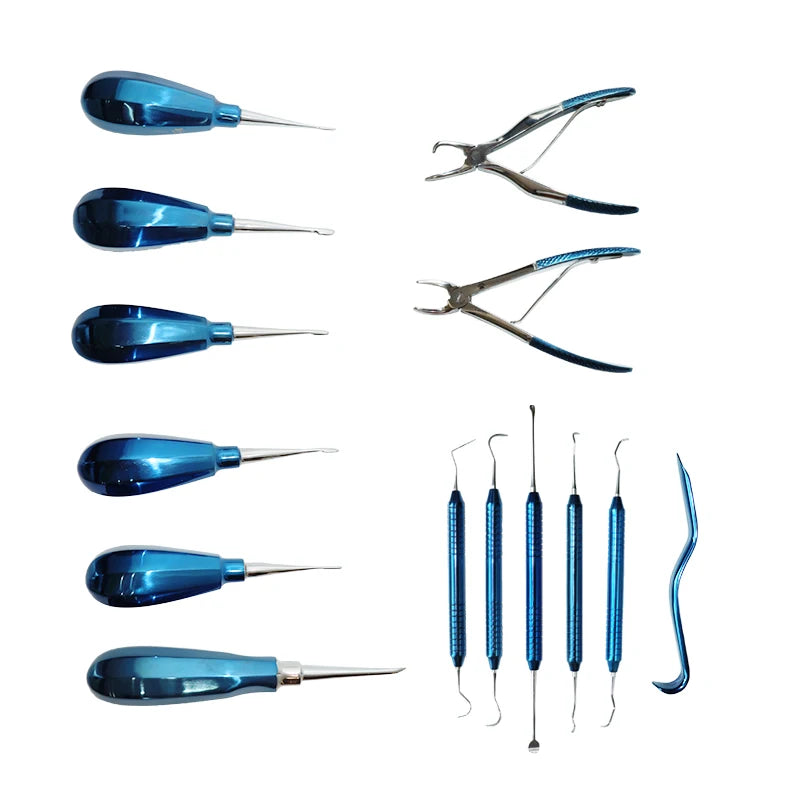 14-Piece Veterinary Dental Instrument Set for Pet Clinics