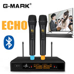 Portable Bluetooth Wireless Microphone System – 2 Dynamic Mics with Echo for Home & Live Events