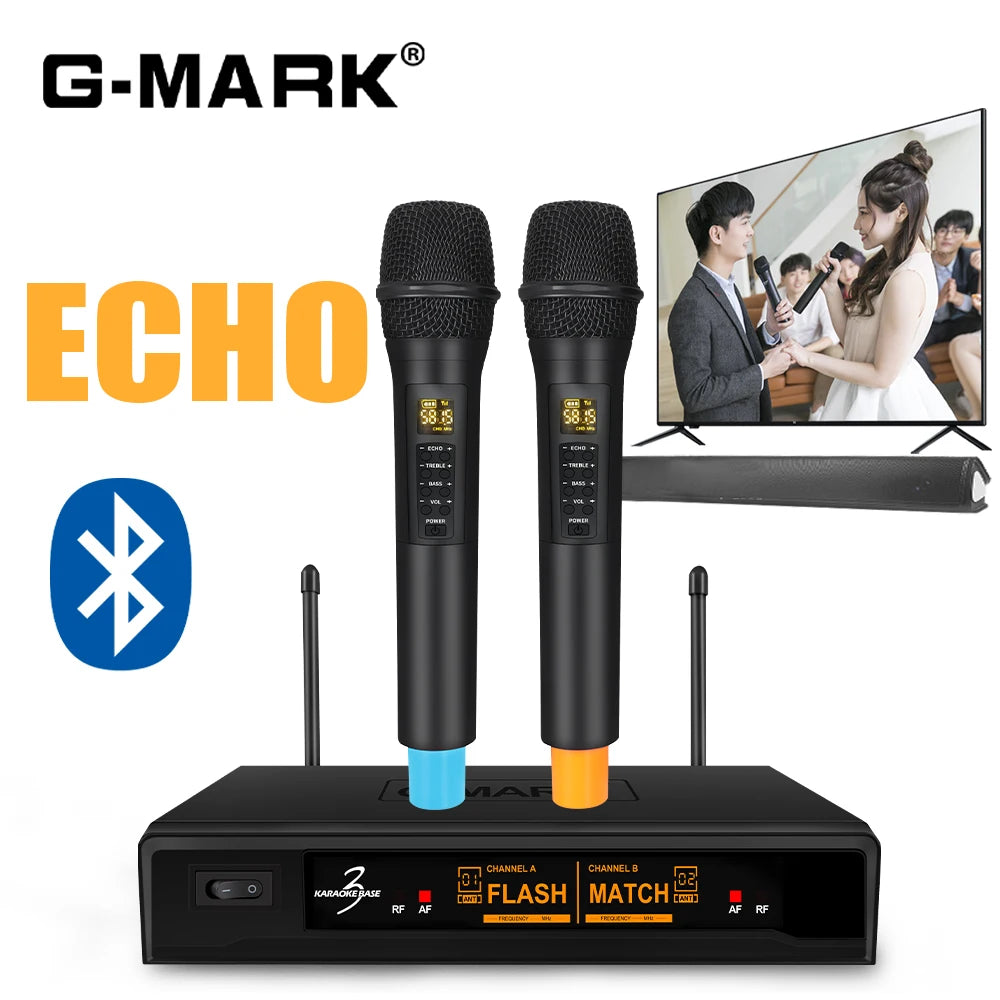 Portable Bluetooth Wireless Microphone System – 2 Dynamic Mics with Echo for Home & Live Events