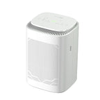 2-in-1 Dehumidifier & Air Purifier with HEPA Filter, Ionizer & Drain Hose