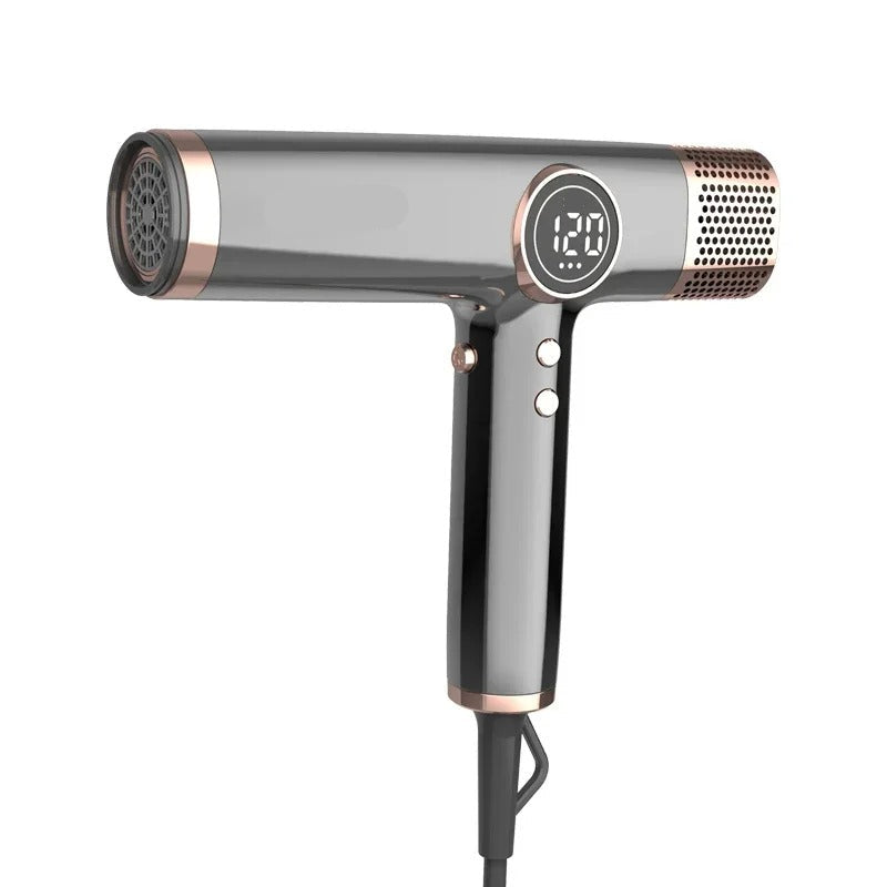 Professional Hair Dryer for Salon and Home Use 3 Gears Air Concentrator Nozzle