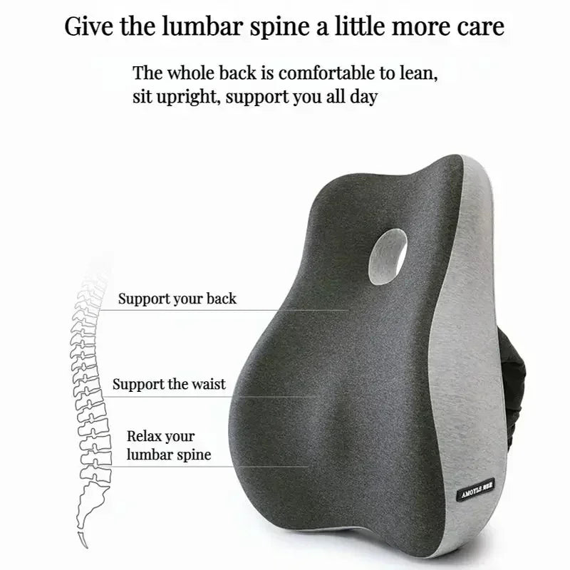 2-in-1 Orthopedic Seat & Lumbar Cushion – Magnetic Bamboo Charcoal Core, Ergonomic Support