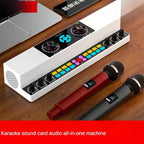 Cordless 10W Bluetooth Karaoke Speaker for Indoor Outdoor Use Y6-2W-E-PA