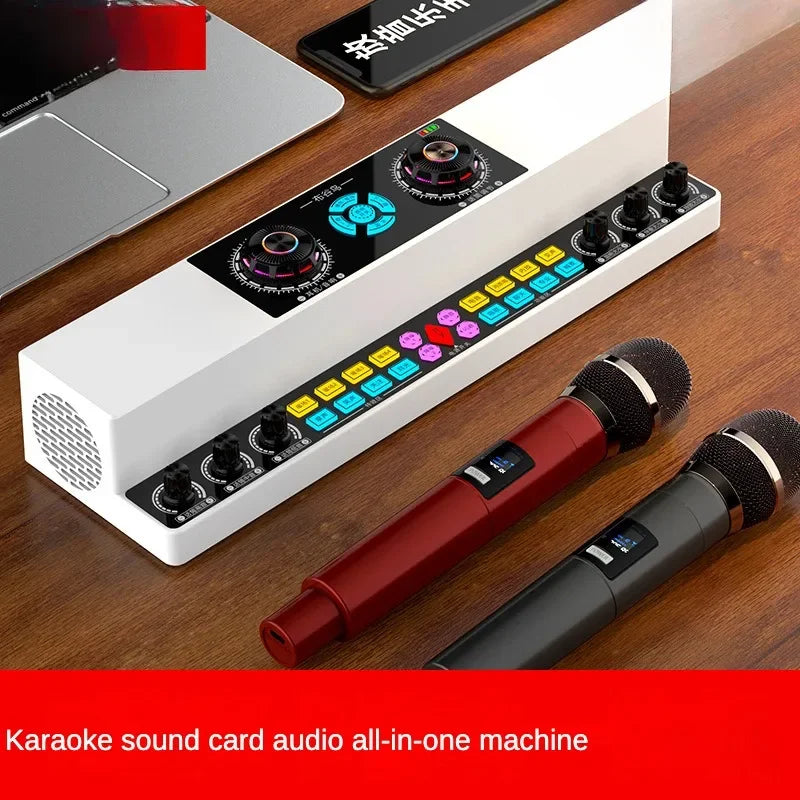 Cordless 10W Bluetooth Karaoke Speaker for Indoor Outdoor Use Y6-2W-E-PA
