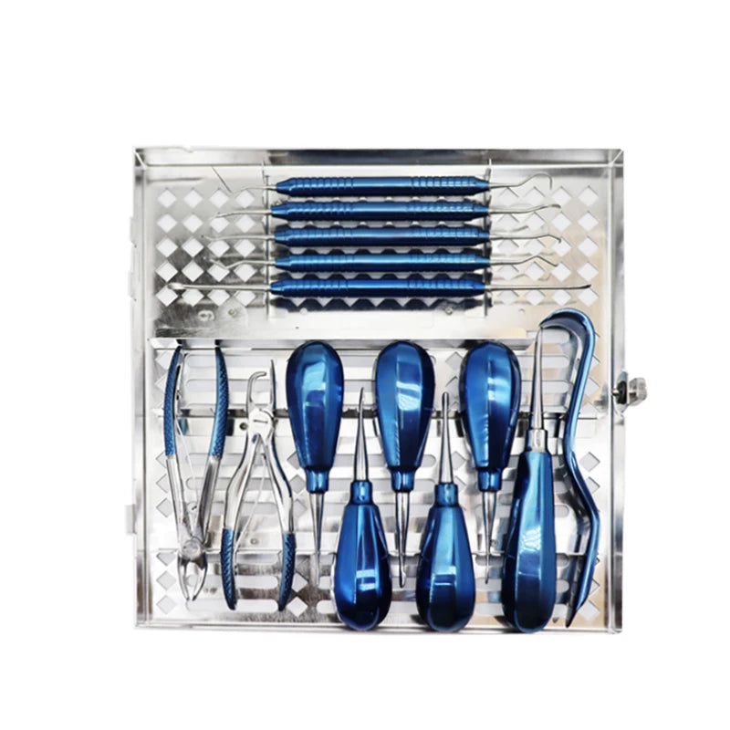 14-Piece Veterinary Dental Instrument Set for Pet Clinics