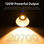 120W COB LED Light for Portraits and Livestreaming