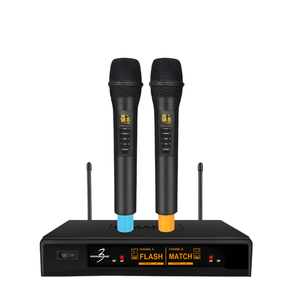 Portable Bluetooth Wireless Microphone System – 2 Dynamic Mics with Echo for Home & Live Events