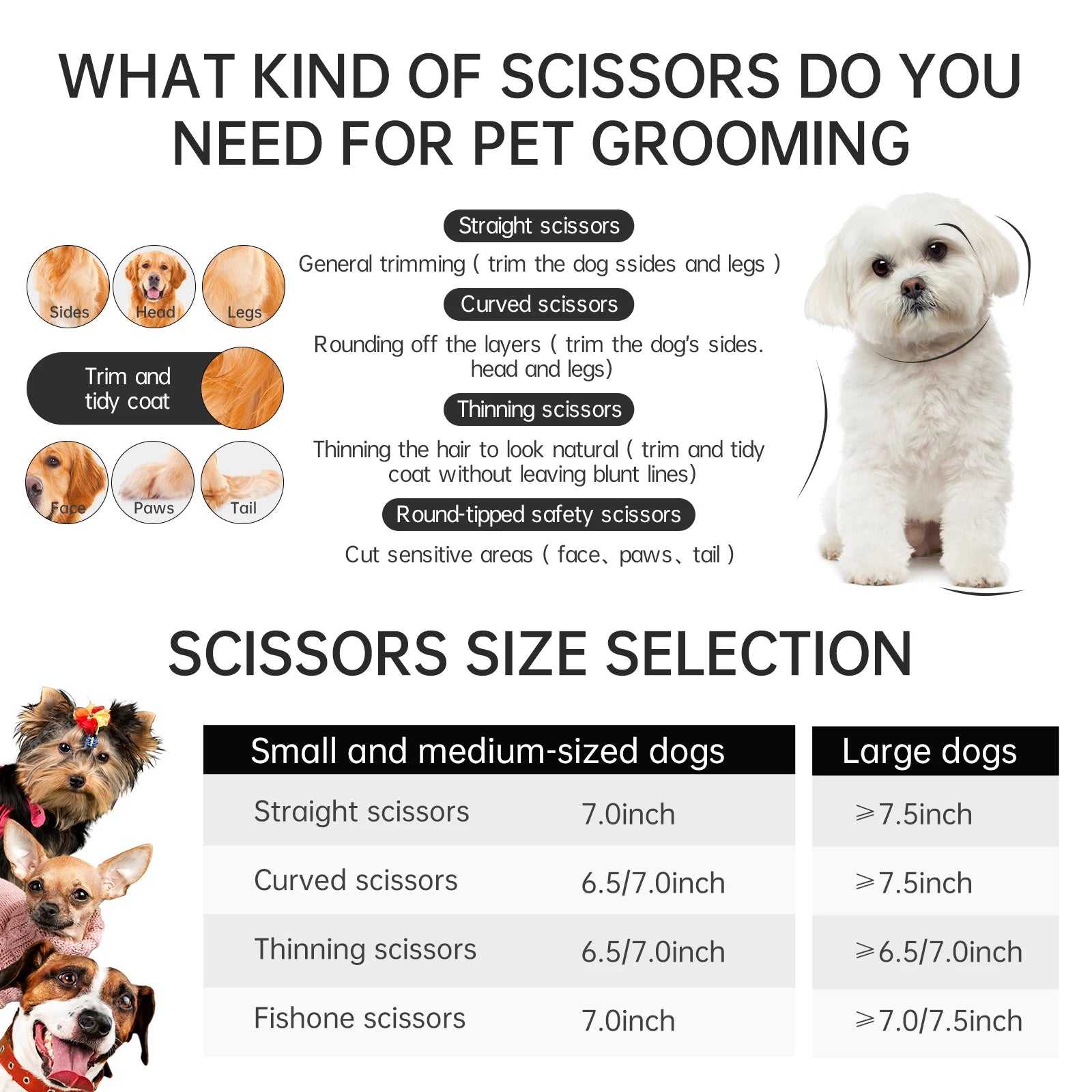 Professional 10-Inch Straight Pet Grooming Scissors Polished Silver, 440C Steel Blades