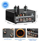 100W×2 Stereo Tube Amplifier with Bluetooth 5.0