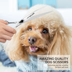 Professional 10-Inch Straight Pet Grooming Scissors Polished Silver, 440C Steel Blades