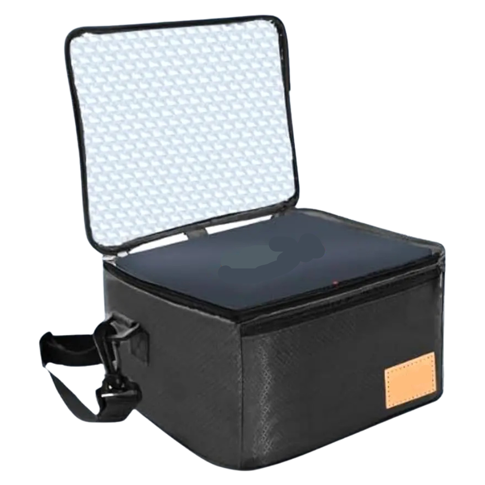 Mini Electric Lunch Box for Office Truck & Travel Portable Food Warmer with Utensils & Carry Bag Black