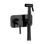 Concealed Dual-Temperature Bathroom Jet Spray Nozzle in Black