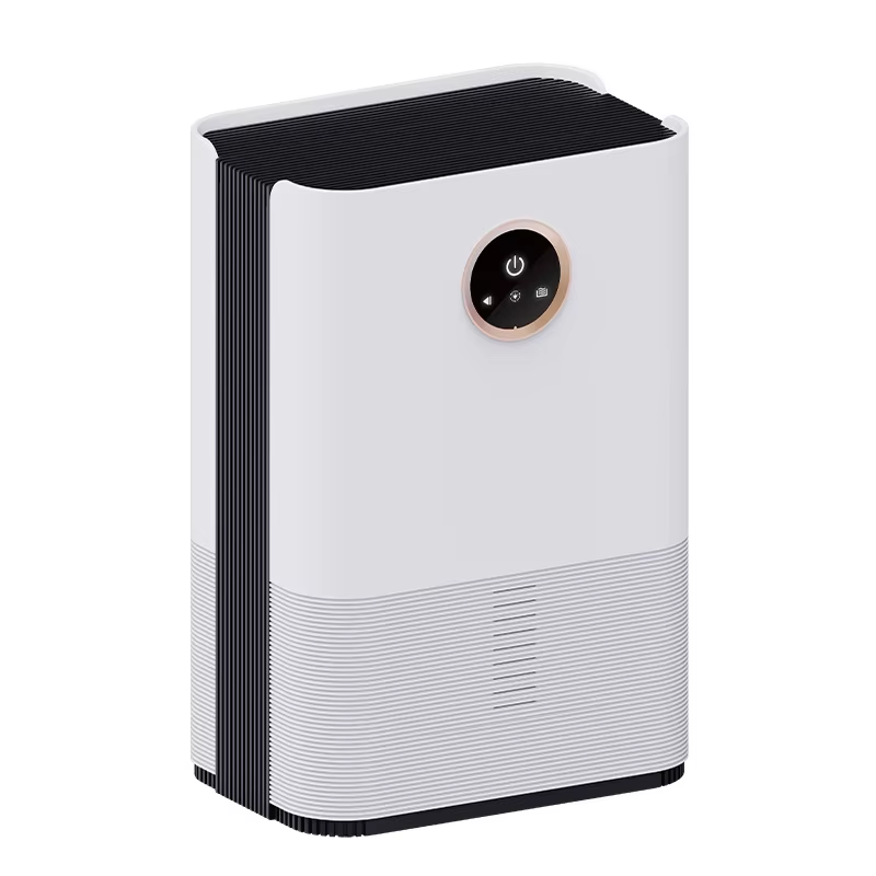 Compact 2L Electric Dehumidifier with Humidity Control for Bedroom and Office