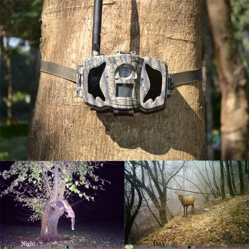 Outdoor Hunting Camera with 1080P, IR, and MMS Alerts