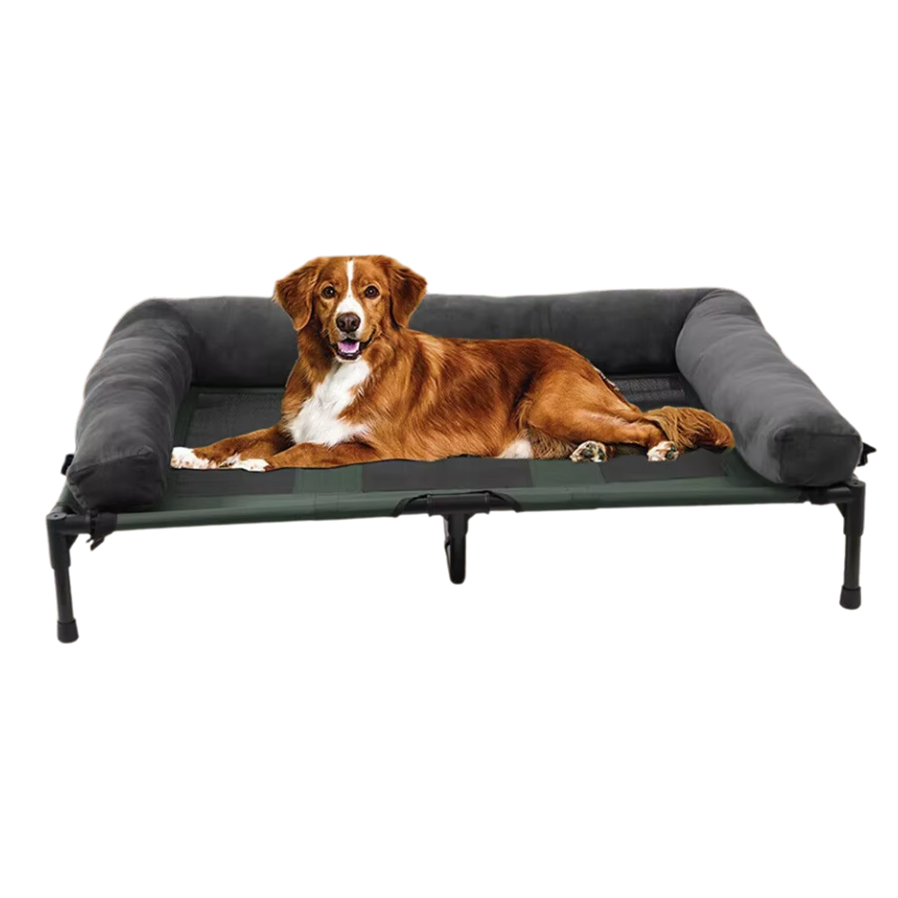Portable Elevated Dog Cot for Indoor and Outdoor Comfort